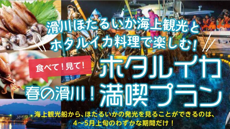 春の滑川！ ホタルイカ満喫プラン